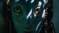 Avatar: The Way Of Water | Image Via: TSG Entertainment